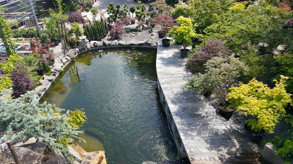 Wasserfall im Japangarten der Musteranlage von Pflanzenmarkt Saliter in Gschwend